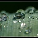 Macro